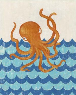 Picture of octopus