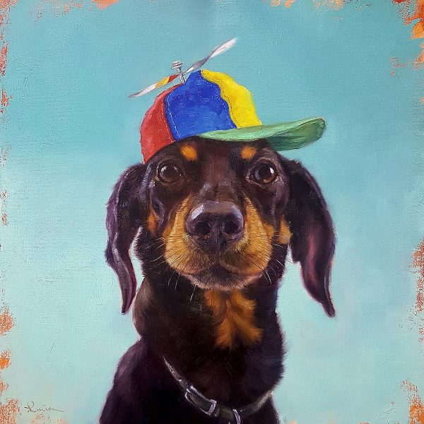 Dachshund wearing a funny hat