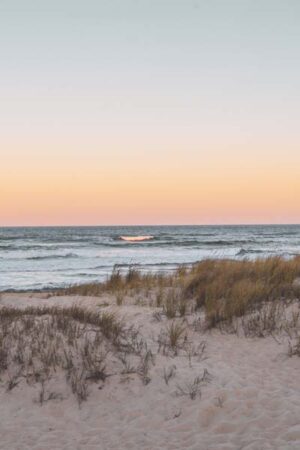 Coastal Item #366