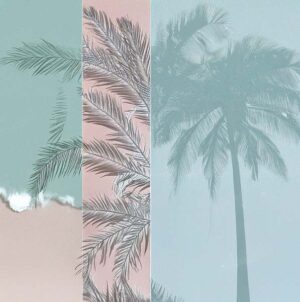 Coastal Item #371