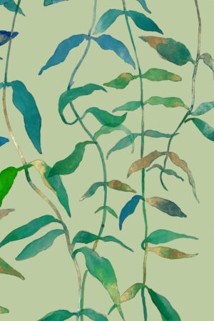 Nature Item #383