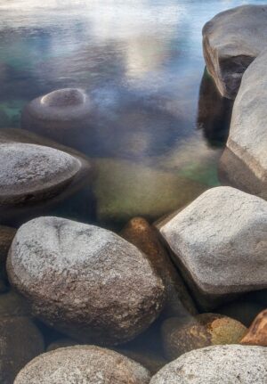 Nature Item #388