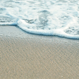 Coastal Item #425