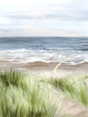 Coastal Item #428