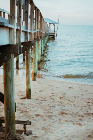 Coastal Item #434