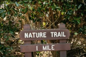 Nature Item #452