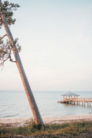 Coastal Item #448