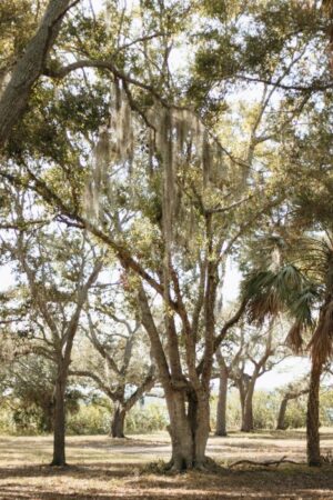 Coastal Item #458