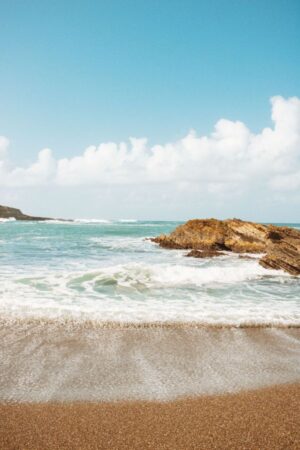 Coastal Item #464
