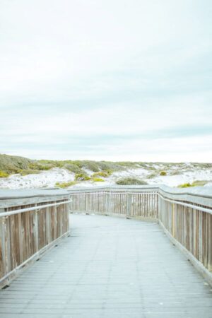 Coastal Item #466