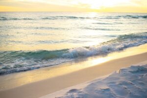 Coastal Item #483