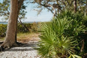 Coastal Item #492