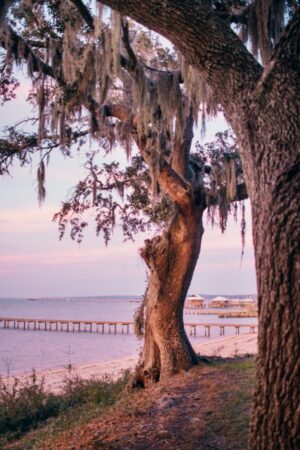Coastal Item #454