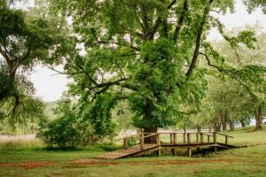 Landscape Item #723