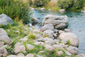 Nature Item #553